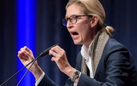 Meet Alice Weidel, the ex-Goldman Sachs banker who could lead a far-right party to its best German election result since the Nazis