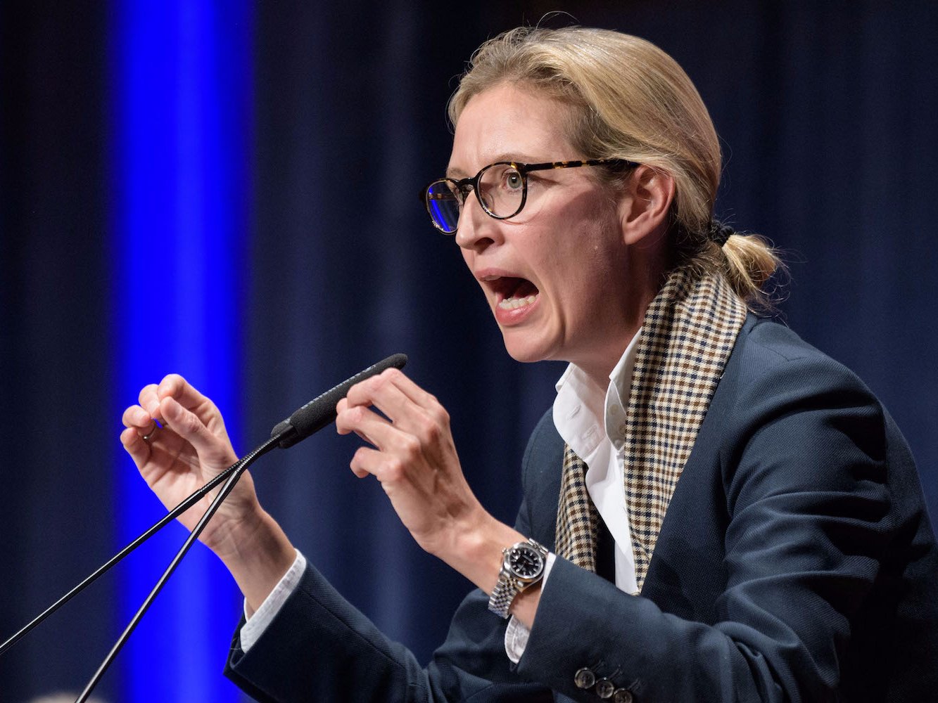 Meet Alice Weidel, the ex-Goldman Sachs banker who could lead a far-right party to its best German election result since the Nazis