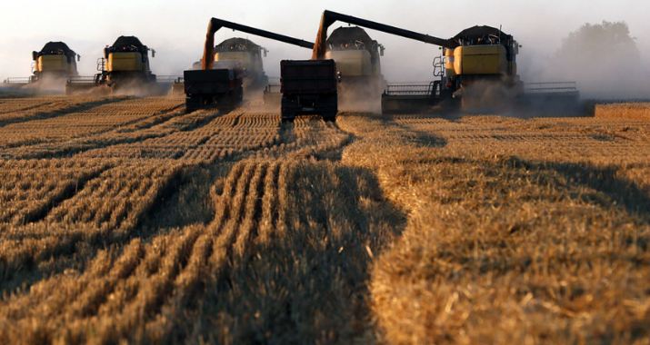 Agriculture: quelles perspectives économiques unissent la France et la Russie?