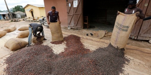 Industrie cacaoyère : une délégation néerlandaise en prospection à Abidjan et Accra