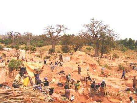 Guinée : les méthodes d’acquisition des terres par AngloGold Ashanti dénoncées dans un rapport