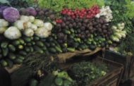 Rwanda : les recettes d’exportations horticoles ont bondi de 75% en 2017