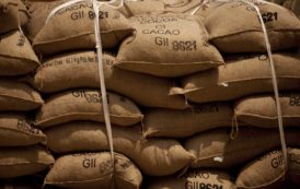 Le CCC suspend pendant 10 ans le négoce du cacao de Sopex en Côte d’Ivoire