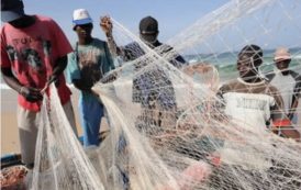 Côte d’Ivoire : bientôt une nouvelle loi pour réprimer la pêche INN