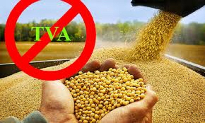 Algerie / Alimentation de bétail : les opérations de vente de l’orge et du maïs exemptées de la TVA