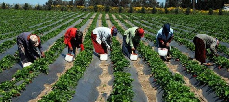 La BAD crée un fonds pour les jeunes agriculteurs Africains