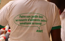 Burkina / Produits éco-bio : Une foire pour rapprocher producteurs et consommateurs burkinabè