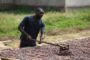 Le groupe chinois Kamelu prêt à investir dans les agropoles au Togo