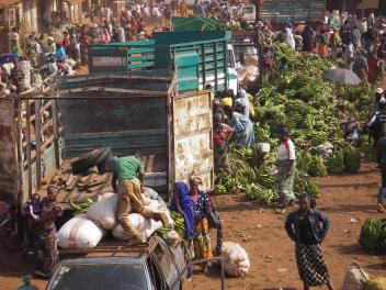 Depuis 5 ans, les prix mondiaux des produits alimentaires baissent