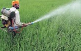 L’Inde s’aligne en matière d’interdiction de pesticides utilisés