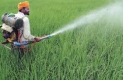 L’Inde s’aligne en matière d’interdiction de pesticides utilisés