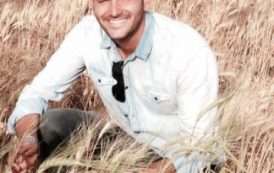 Un chercheur italien découvre un moyen de produire du blé dur en Afrique de l’Ouest