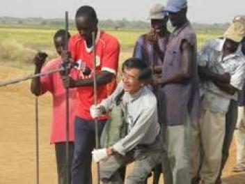 Sénégal : La coopération japonaise à l’oeuvre dans le riz au Sénégal