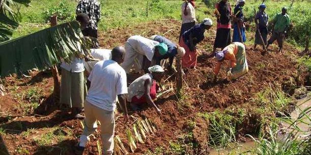 Agriculture : un fonds innovant pour compenser les pertes liées à une faible pluviométrie