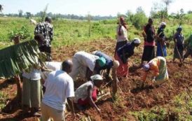 Pour la FAO, l’attractivité de l’agriculture pour la jeunesse est primordiale pour le développement durable de l’Afrique