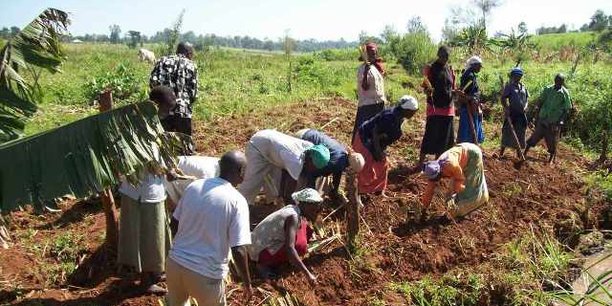 Pour la FAO, l’attractivité de l’agriculture pour la jeunesse est primordiale pour le développement durable de l’Afrique