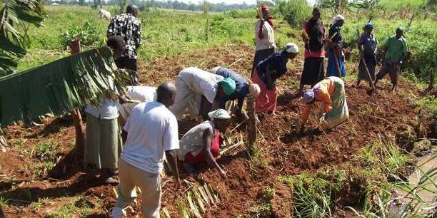 Kenya : le gouvernement lance un mécanisme de crédit au profit des petits agriculteurs