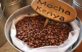 Ventes aux enchères en ligne pour le café au Kenya