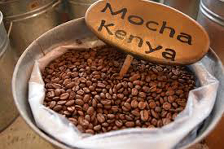 Ventes aux enchères en ligne pour le café au Kenya