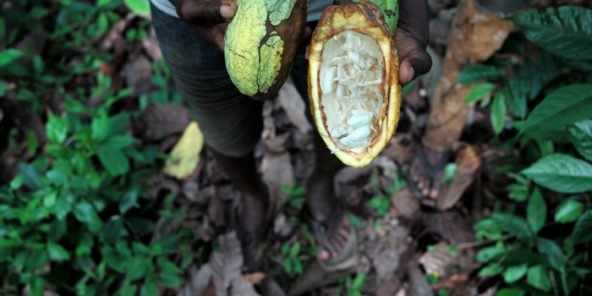 UEMOA : les exportations en baisse de 9,4% à cause de la réduction des ventes de cacao et de pétrole