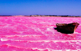 Sauvons le lac rose, le cri d’alarme des acteurs du tourisme sénégalais