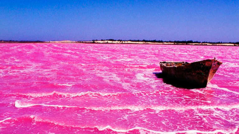 Sauvons le lac rose, le cri d’alarme des acteurs du tourisme sénégalais