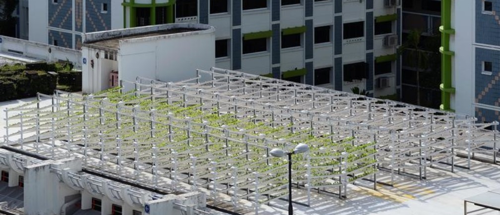 A Paris, on pourra cultiver ses tomates dans la plus grande ferme urbaine du monde