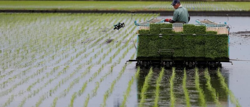 Pourquoi les Japonais n’aiment pas le bio