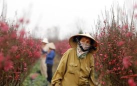 La vie d’aujourd’hui : meilleure ou pire qu’il y a 50 ans ?