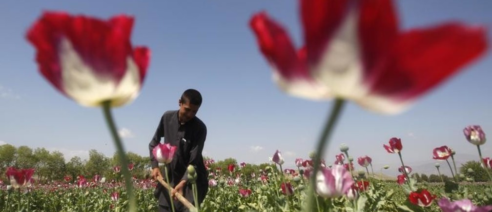 Donner la parole aux jeunes pour transformer la vulgarisation agricole