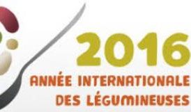 Le Burkina accueille les cérémonies de clôture de l’Année internationale des légumineuses