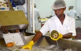 Le fonds Miarakap investira 30 milliards d’ariarys dans les PME malgaches