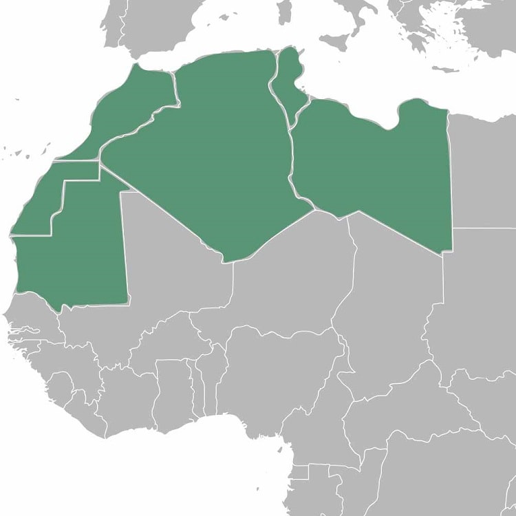 Le projet d’union économique maghrébine au point mort depuis 1988