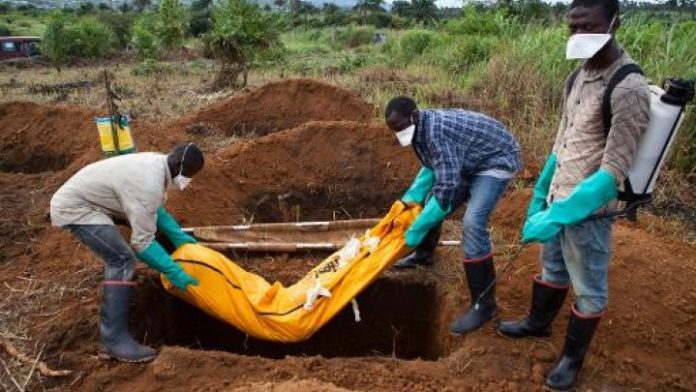 Centrafrique : un trafic de corps humains intercepté