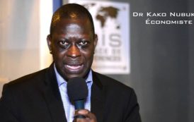 Afrique-Europe:L’économiste togolais Kako Nobupko à la tete d’un mouvement panafricain