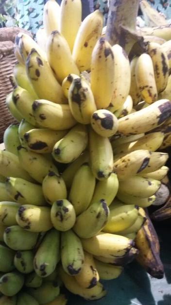 La banane contribue au diagnostic du cancer de la peau