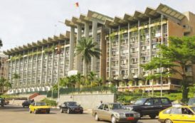 411 établissements de microfinance agréés au Cameroun