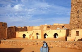 Mauritanie – Tourisme : voyage à la découverte des fleurs du désert