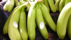 Marché de la banane, le japonais Sumitomo Corporation passe à l’attaque