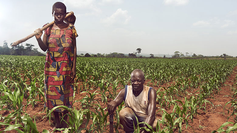 République centrafricaine : il est urgent d’aider durablement les agriculteurs