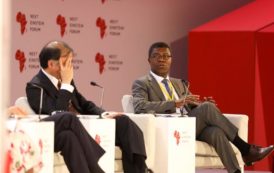 « Next Einstein Forum » – comment faire aboutir les innovations africaines sur le marché international ?