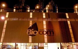 Angola : Biocom mettra 42 000 tonnes de sucre sur le marché cette année