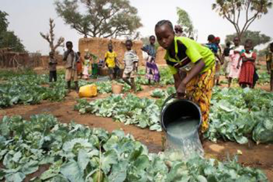 L’initiative 3N au Niger primée par le World Future Council