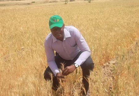 Le Nigeria s’engage aux côtés des jeunes agriculteurs à travers un programme de prêts de 300 millions $