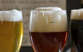 Des traces de glyphosate et d’autres pesticides retrouvées dans une majorité de bières