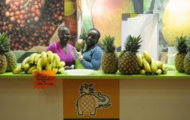 Le Salon international de l’agriculture à Paris, une bonne affaire pour l’Afrique ?