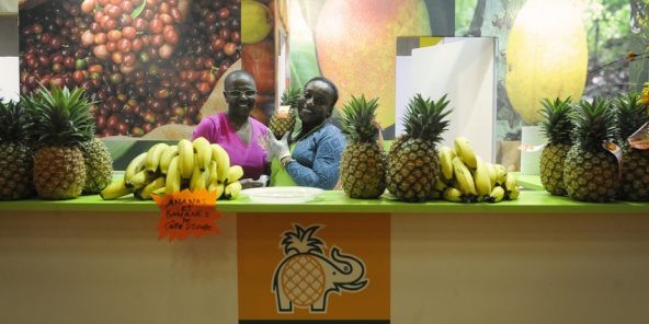 Le Salon international de l’agriculture à Paris, une bonne affaire pour l’Afrique ?