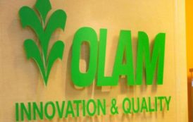 Olam investit 300 milliards de Fcfa pour faire du Gabon le leader africain de la production d’huile de palme