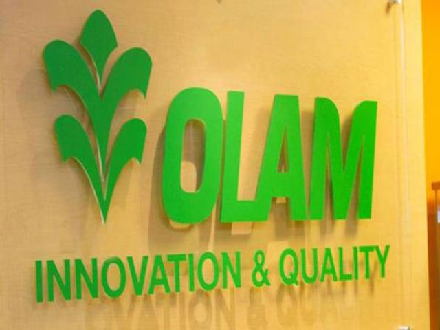 Olam investit 300 milliards de Fcfa pour faire du Gabon le leader africain de la production d’huile de palme