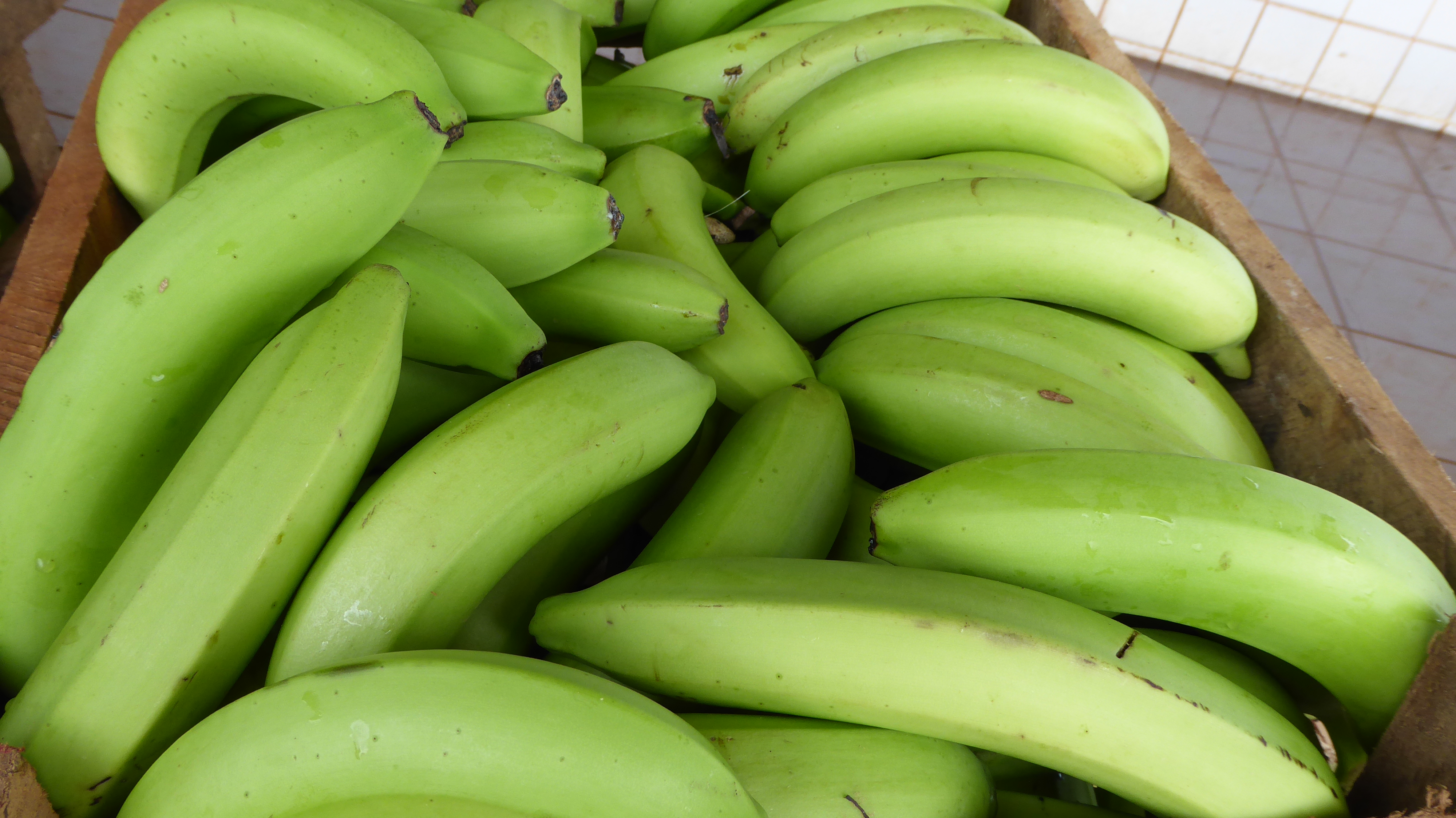 Encore des efforts à faire dans le secteur banane au Ghana